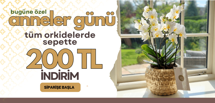 Bloom and Fresh Banner resmi
