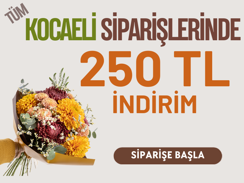 Kocaeli Özel İndirimi