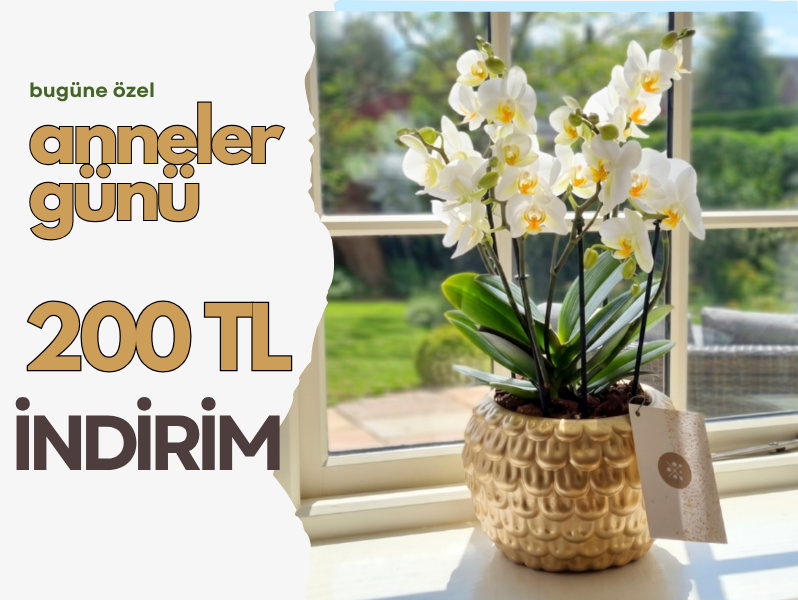 Anneler Günü Bugüne Özel 200 TL Orkide İndirimi