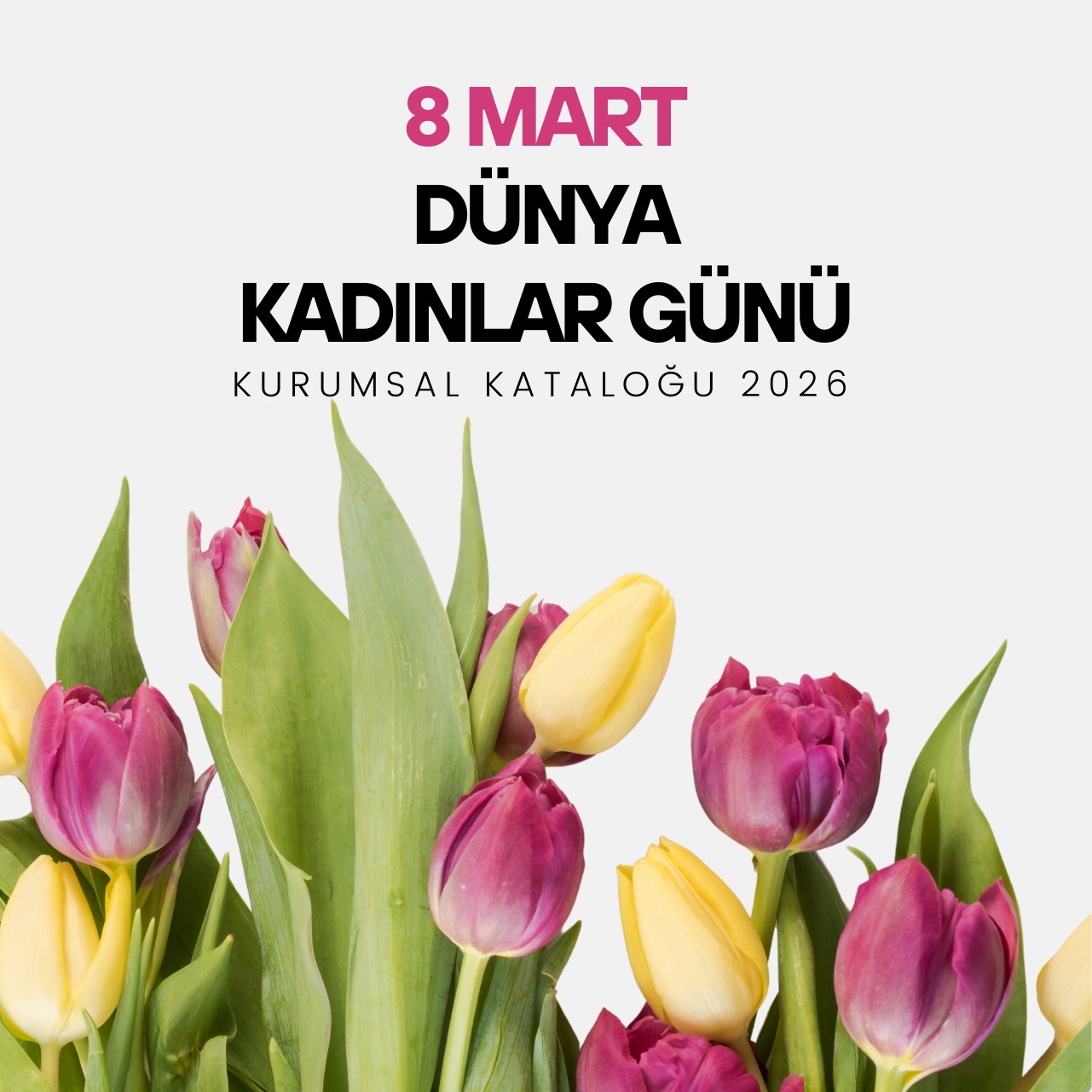 8 Mart Dünya Kadınlar Günü - 2026